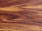cebil x.gif (16545 bytes)