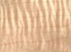 flamed maple x.gif (16927 bytes)