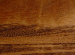 goncalo alves.gif (16328 bytes)
