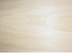 poplar x.gif (13343 bytes)