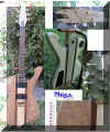 VirtuosoNF1.JPG (82725 bytes)
