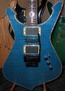 blueabalone.jpg (35991 bytes)