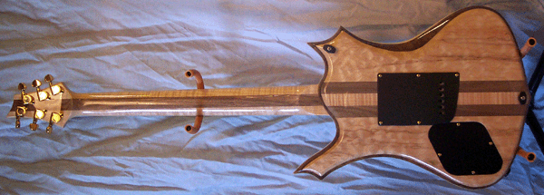 casta cust ab bck full.gif (98732 bytes)