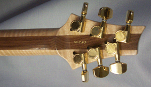 casta head back.gif (38689 bytes)