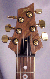 casta head front.gif (41980 bytes)