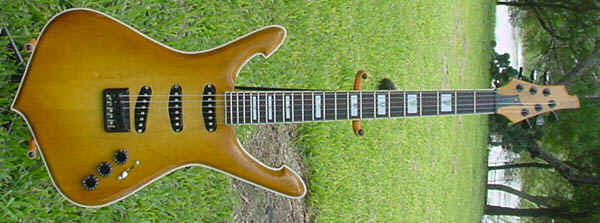 custhybrid1.jpg (46589 bytes)