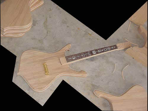 hybr bodies1.jpg (32856 bytes)