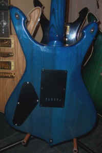 newsetblur back.jpg (26494 bytes)