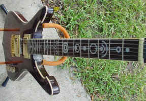 violinhybr flight.jpg (34284 bytes)