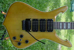 yellow.jpg (25612 bytes)